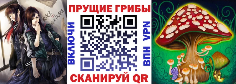 Псилоцибиновые грибы GOLDEN TEACHER  Тихвин 